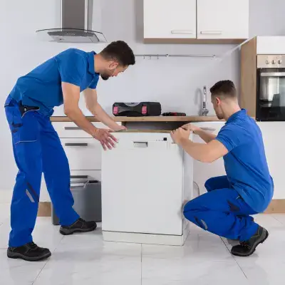 Professional- Packing- Services